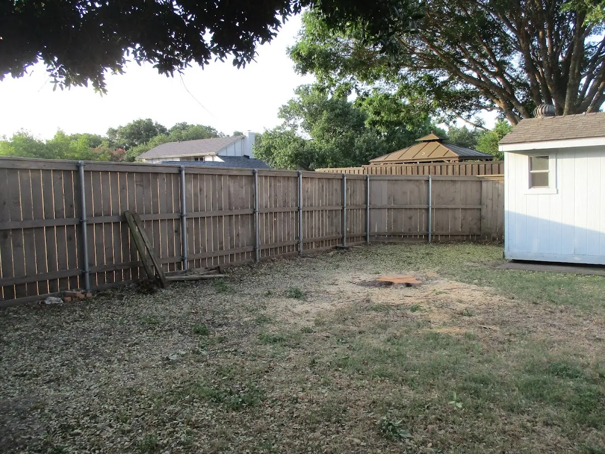 Cleared yard after professional tree removal in Woden